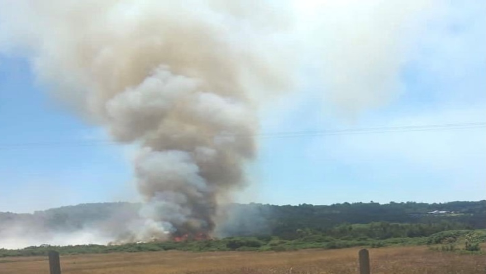 Cuerpo de Bomberos de Puerto Montt trabaja en incendio forestal en Chamiza