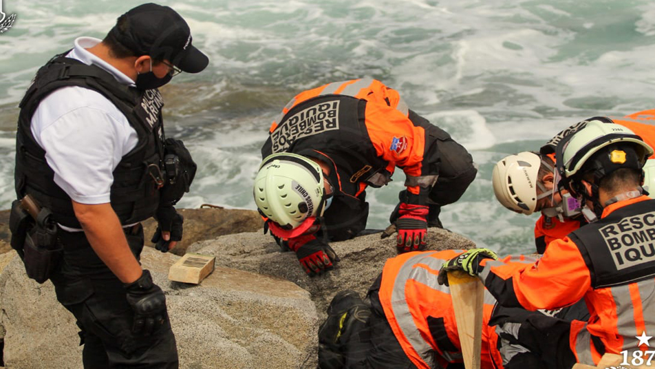 Bomberos de Iquique rescataron a can atrapado en un roquerío de Playa Bellavista 