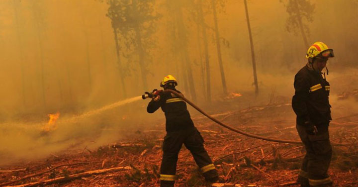 Conaf y Bomberos suscriben alianza para reforzar combate de incendios forestales