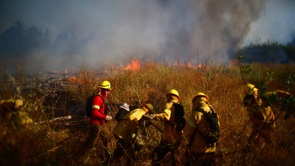 Bomberos de Isla de Pascua trabajaron en “Tetenga”: incendio forestal en Parque Nacional Rapa Nui