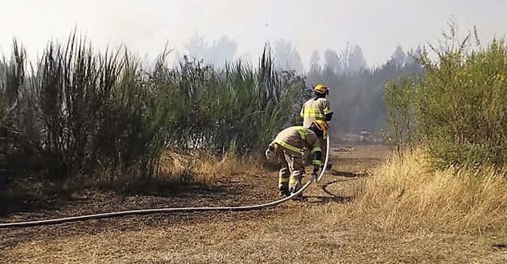 Tres emergencias simultáneas movilizaron a Bomberos de Cañete