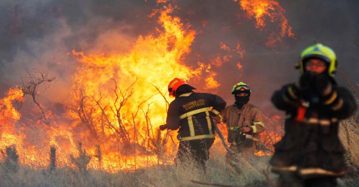 Miércoles 12 de septiembre: transmisión online entrega de equipamiento forestal en la Región de O’Higgins 