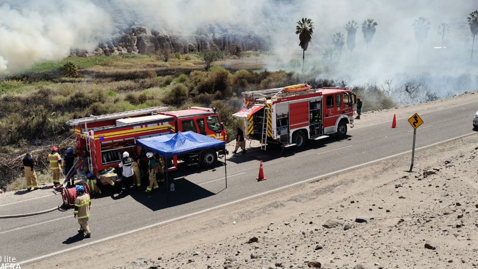 Incendio en pastizales movilizó a Cuerpos de Bomberos de la región de Tarapacá