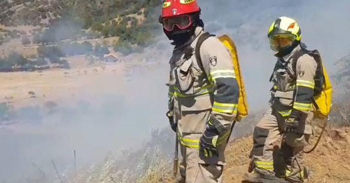 Alarma de incendio forestal en sector La Pataguilla