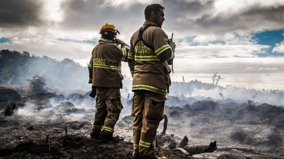 Devastador incendio Forestal en Timaukel: 1.600 hectáreas han sido consumidas por el fuego
