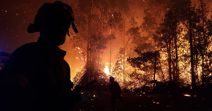 Valparaíso: Fuego arrasa con cerca de 3.000 hectáreas y moviliza más de 310 Bomberos y 37 vehículos de emergencias