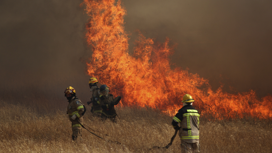 Más de 20 mil hectáreas consumidas por incendios forestales en el sur del país