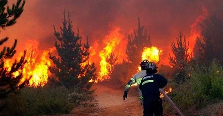 Domingo 9 de septiembre: transmisión online entrega de equipamiento forestal Biobío