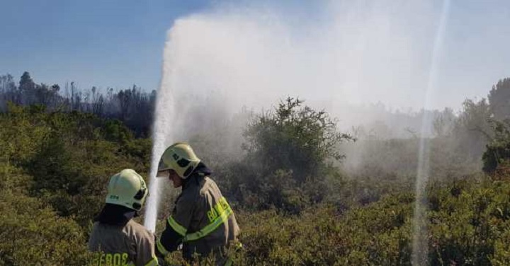 Bomberos trabajan en combate de incendios forestales en las regiones del sur del país