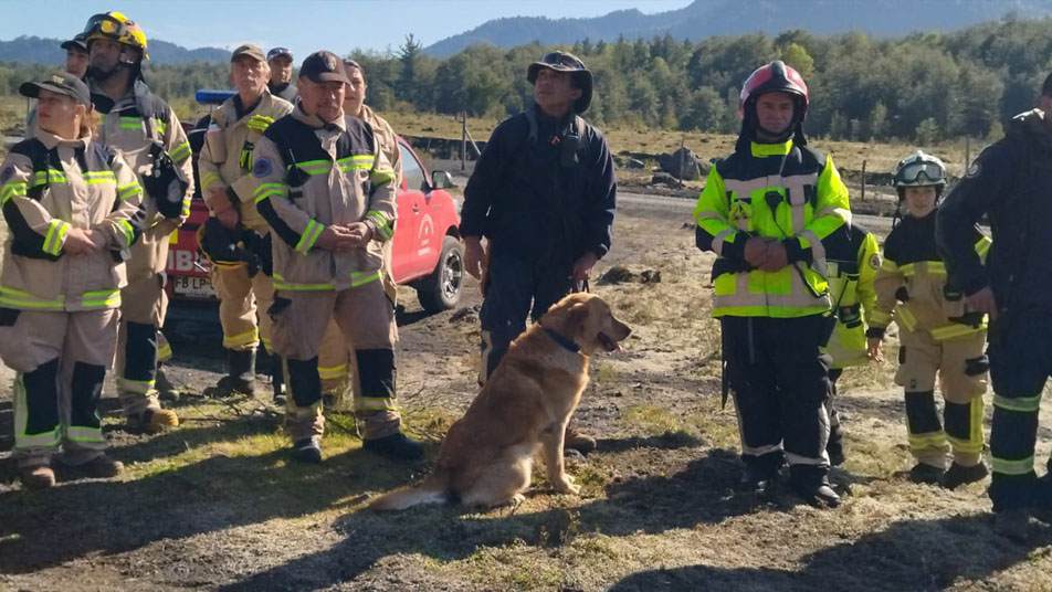 Bomberos de la Region de la Araucanía realizan operativo de búsqueda de vecino de Lican Ray