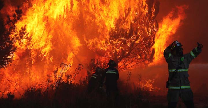 Sábado 6 de octubre: transmisión online entrega de equipamiento forestal en la Región de Ñuble 