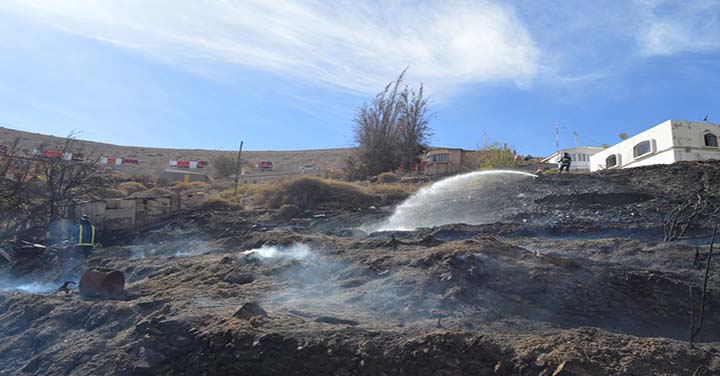 Incendio en pastizales movilizó a cuatro Cuerpos de Bomberos de Tarapacá