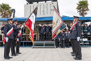 350 Estandarte carros Talcahuano