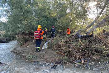 350 Linares Rescate