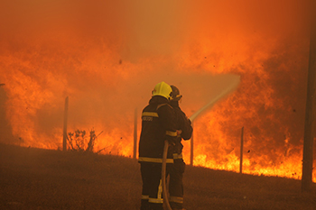 350 incendios forestales 2025