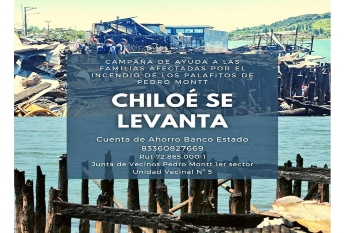 350campaña chiloe