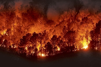 Incendio forestal int