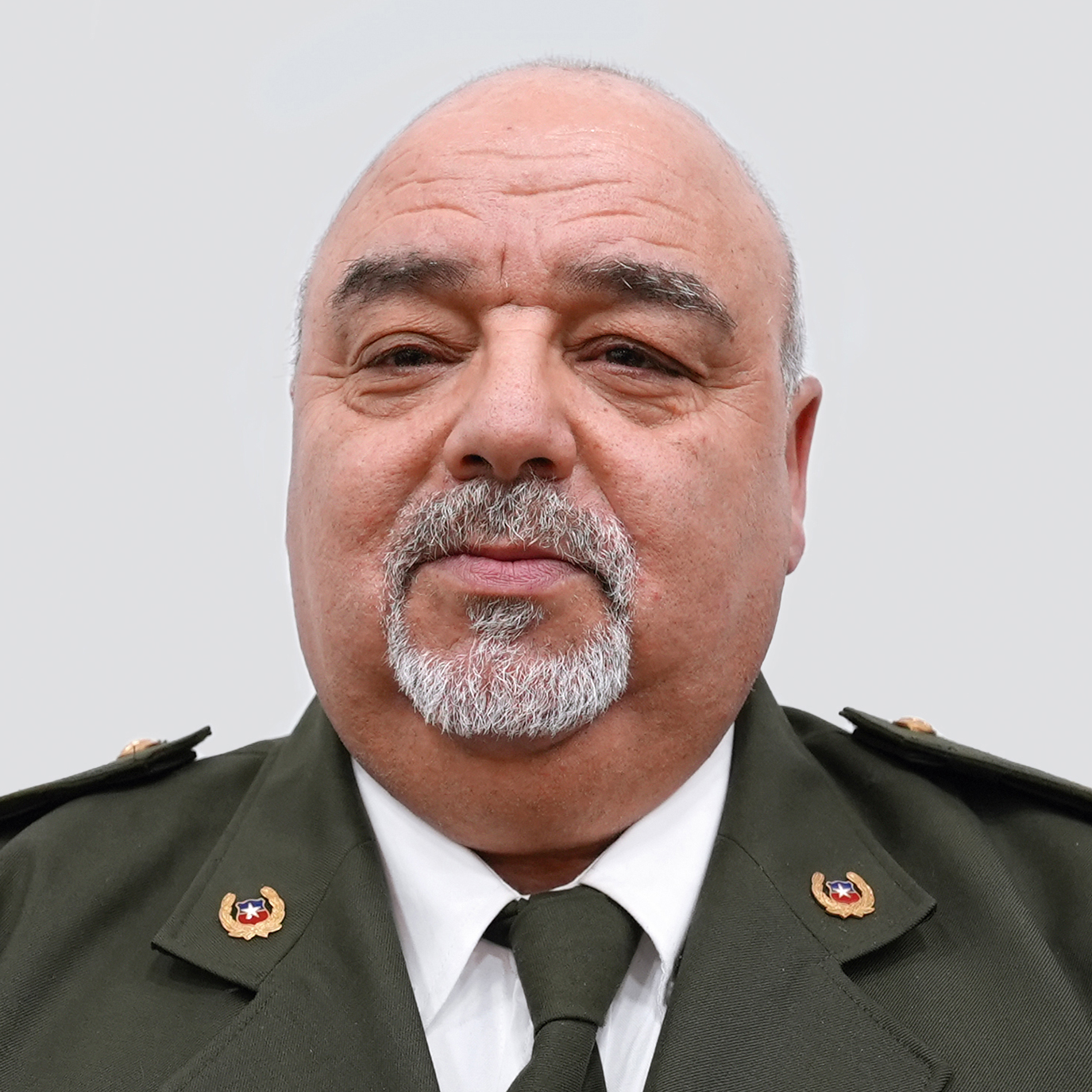Cortinez