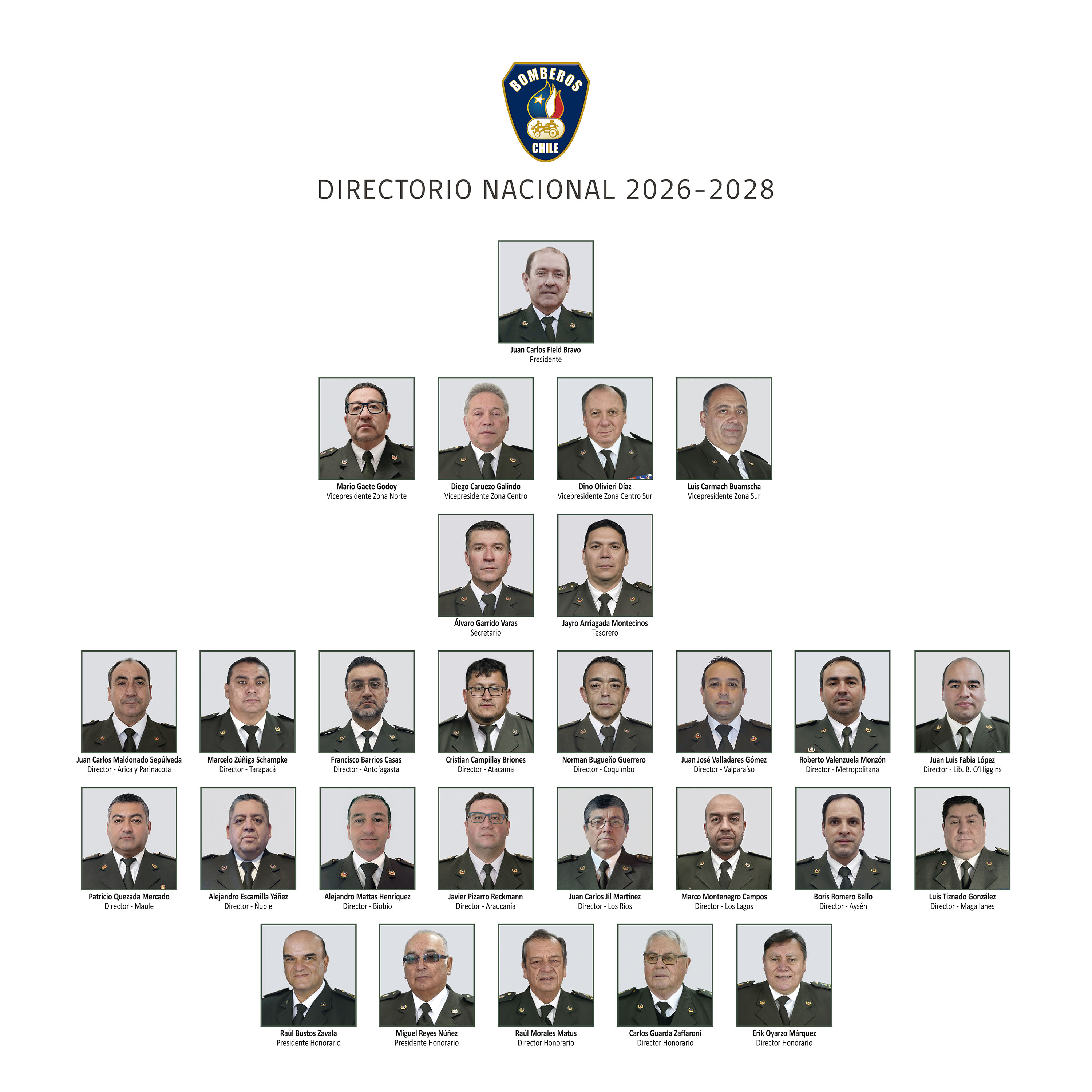organigrama 2026 2028