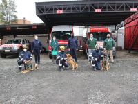 Donan alimentación y atención veterinaria para los perros de rescate del Cuerpo de Bomberos de Temuco