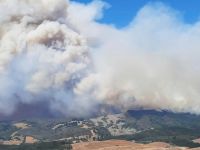 Más de 20 mil hectáreas consumidas por incendios forestales en el sur del país