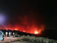 Incendio en Valparaíso supera las 350 hectáreas consumidas y continúa su avance