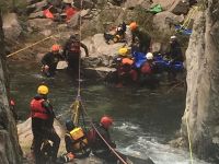 GERSA de San Rosendo y Concepción realizaron rescates en Antuco
