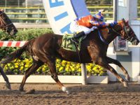 Clásico Bomberos de Chile en el Hipódromo fue ganado por El Bambino